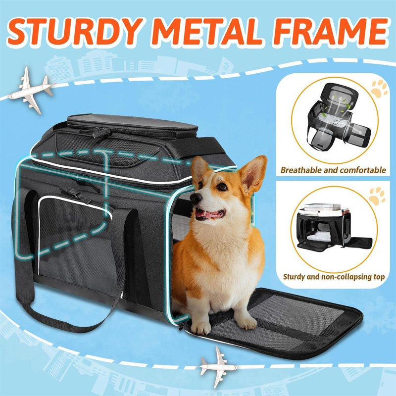 Pet pocket shops dog carrier